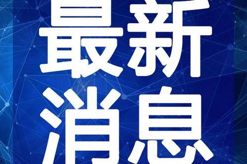 白术机制爆料最新视频,视频深度解析，带你领略神秘力量