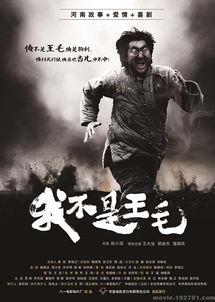 我不是王毛在线观看